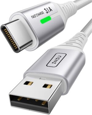 Iniu USB C Charger