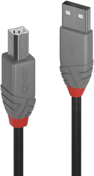 Lindy 2m USB Printer